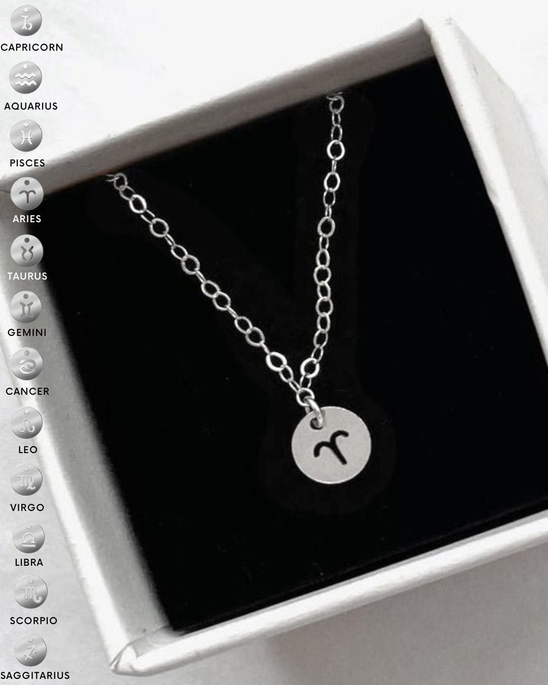 Zodiac Coin Necklace  - Sterling Silver