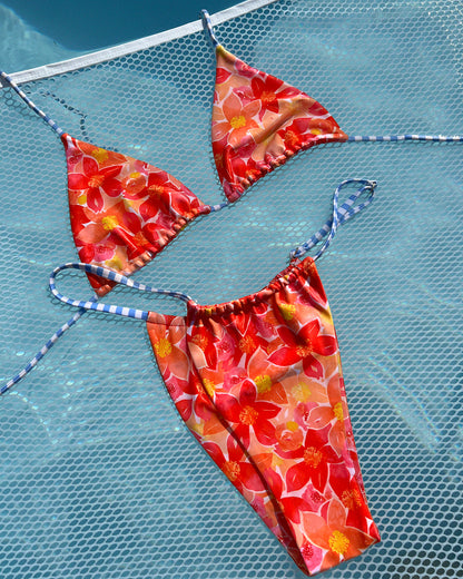 Cheeky Bikini Bottom - Azalea - Gift Ready | The Littl Australia