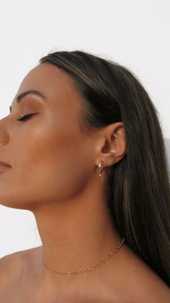 Zodiac 2025 hoop earrings