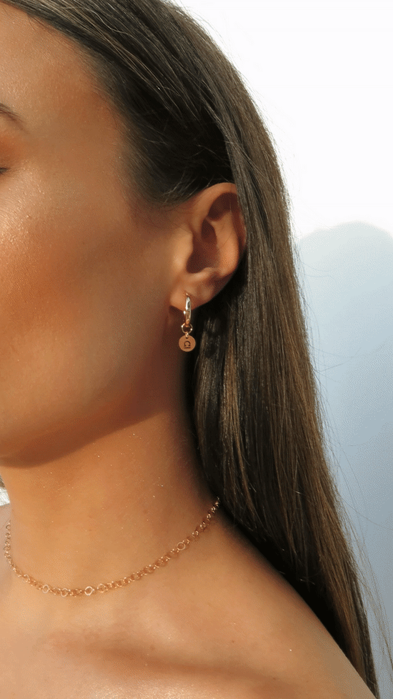 ZODIAC THICK HOOP EARRINGS- 14k Yellow Gold Fill