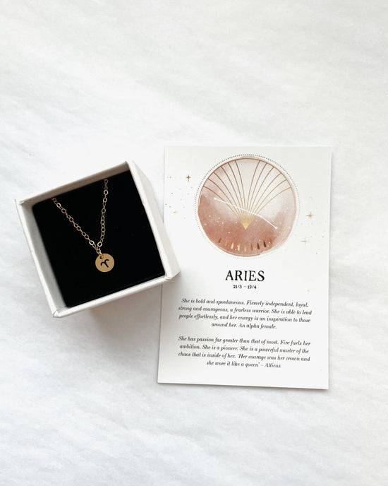 ZODIAC COIN NECKLACE- 14k Yellow Gold - The Littl - Deluxe Chain - 37cm (choker)
