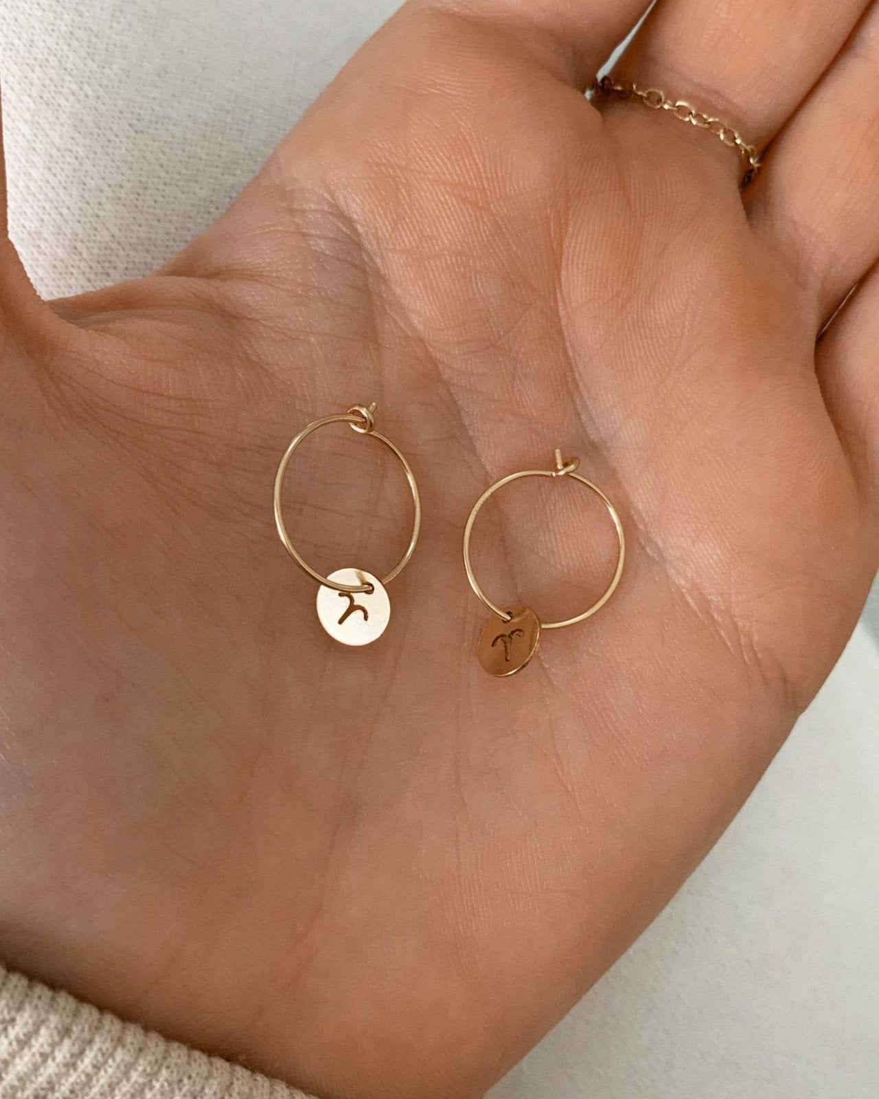 ZODIAC HOOP EARRINGS - The Littl - 14k Yellow Gold Fill -