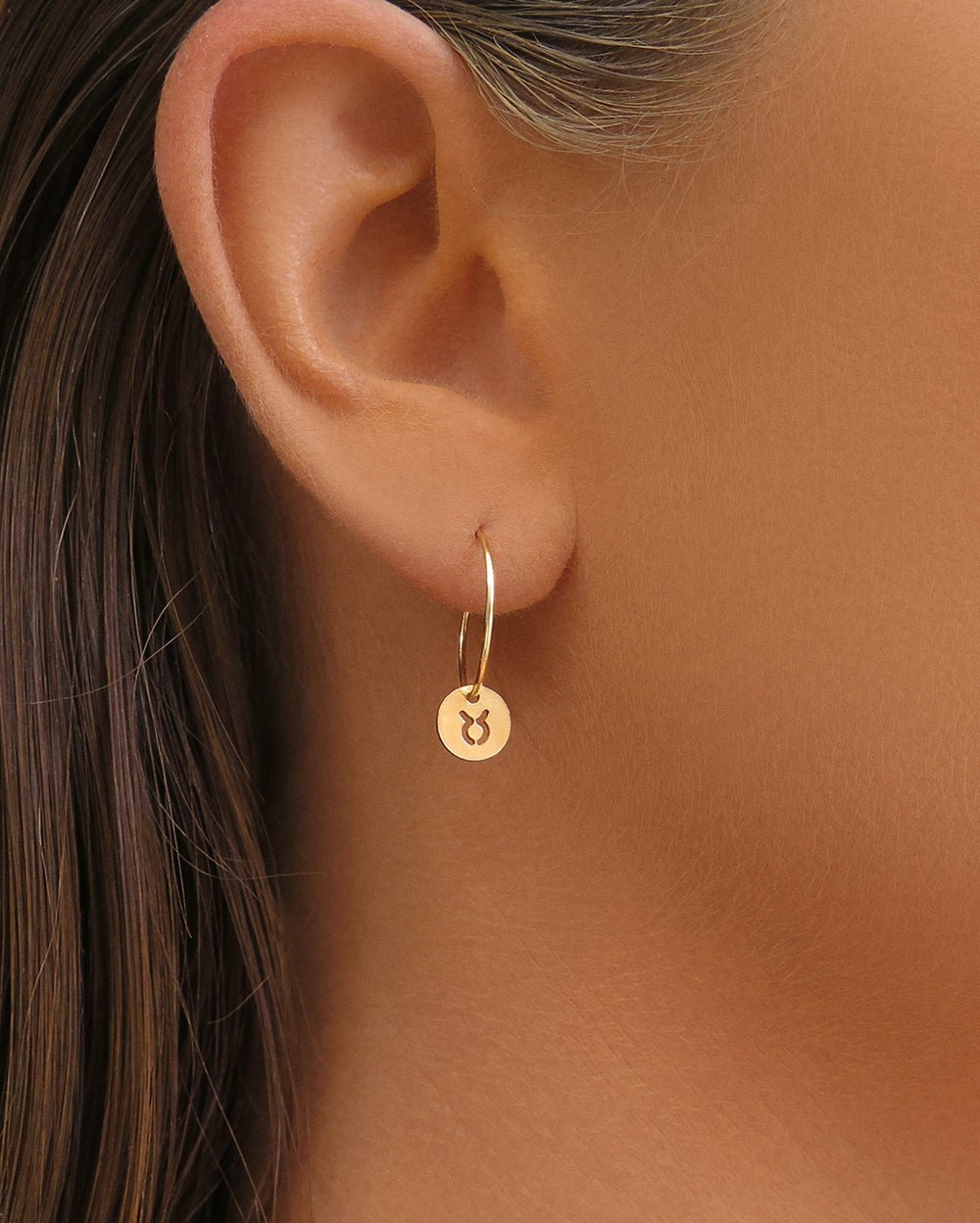 ZODIAC HOOP EARRINGS - The Littl - 14k Yellow Gold Fill - Earrings