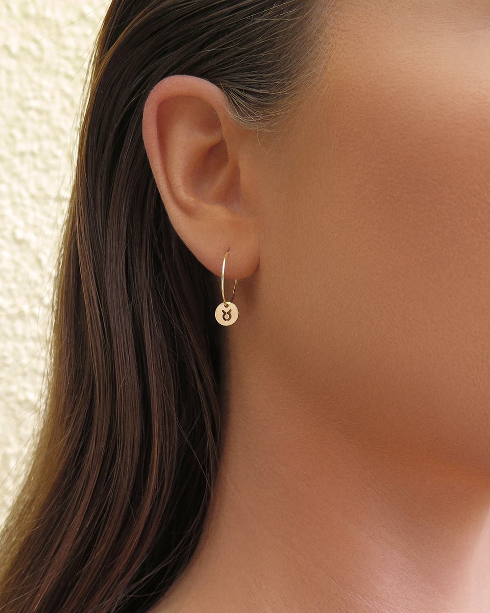 ZODIAC HOOP EARRINGS - The Littl - 14k Yellow Gold Fill - Earrings