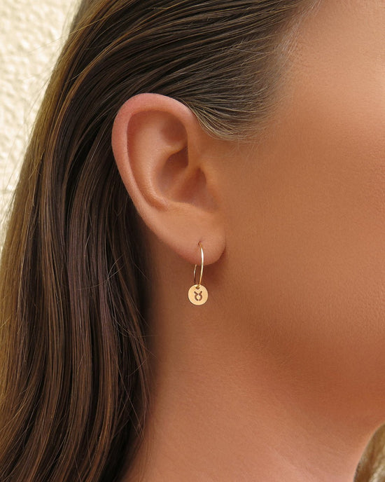 ZODIAC HOOP EARRINGS - The Littl - 14k Yellow Gold Fill - Earrings