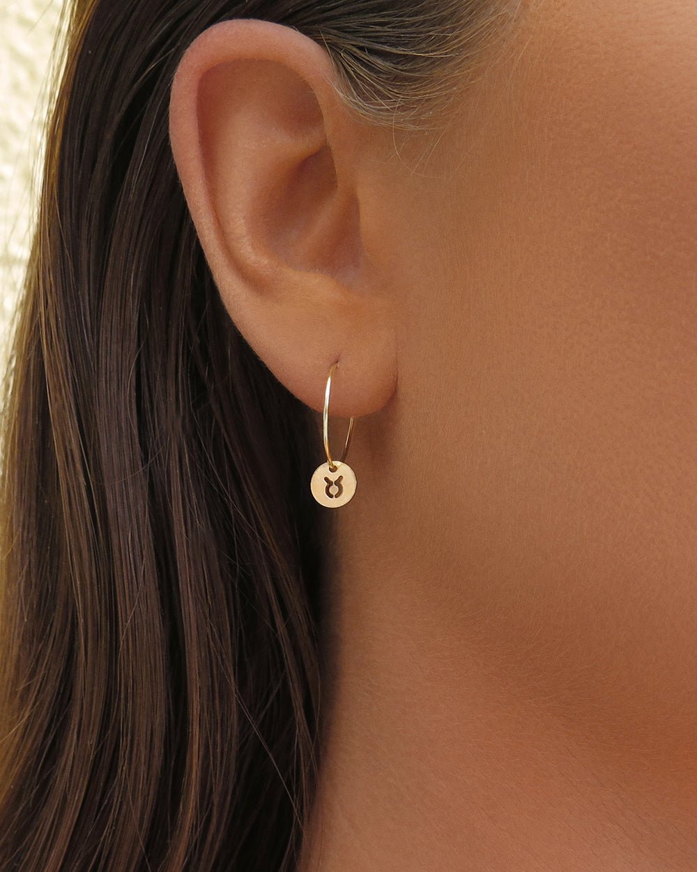 ZODIAC HOOP EARRINGS - The Littl - 14k Yellow Gold Fill - Earrings
