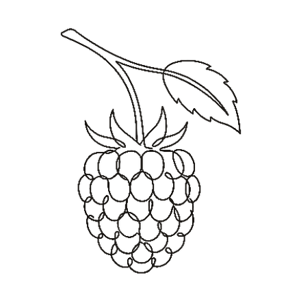 Raspberry oil